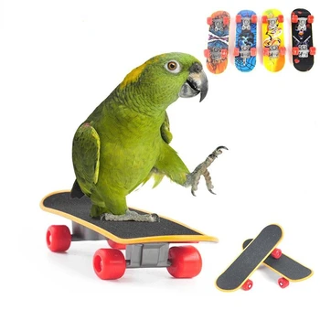 Игрушки для птиц, забавный мини-скейтборд, игрушка для попугая, тренировочный скейтборд, Волнистые попугайчики, игрушка для роста Попугайчиков, Аксессуары для птиц Pajaros Intelligence